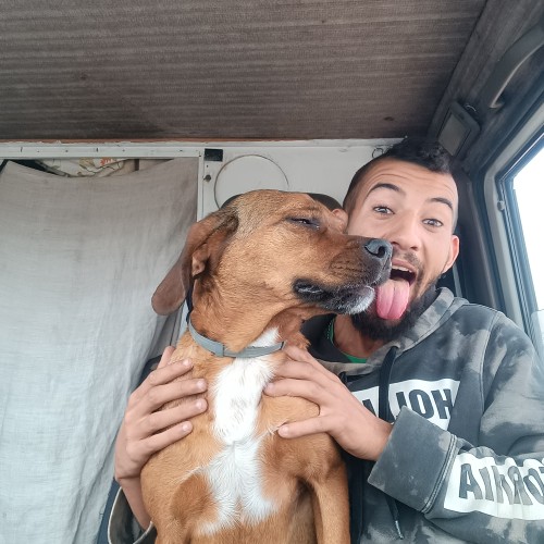 Adnane  M. profile photo