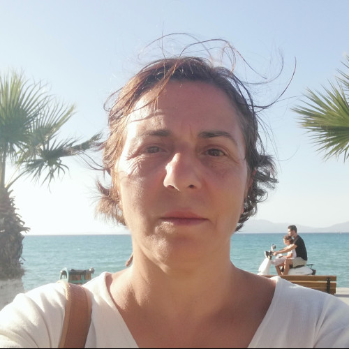 Ayse C.