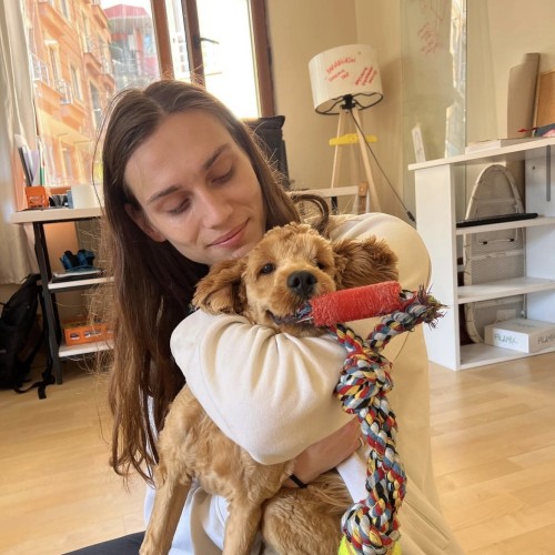 Barış D. profile photo