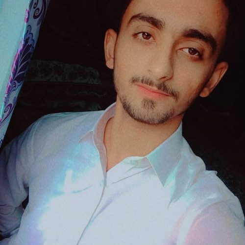 Wajid N. profile photo