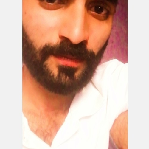 Hamza  A.