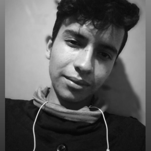 Daniel C. profile photo