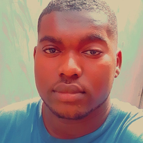 Ebimobowei  M. profile photo