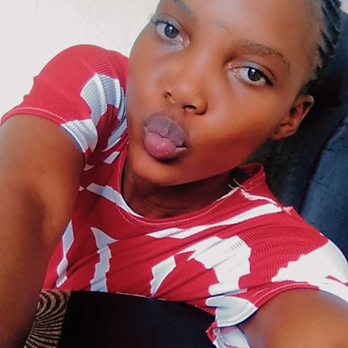Shamie N. profile photo