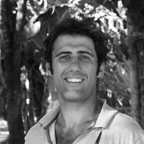 Felipe A. profile photo