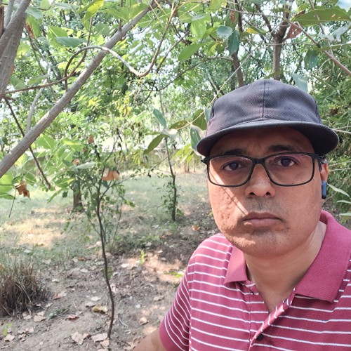 Krutin  D. profile photo