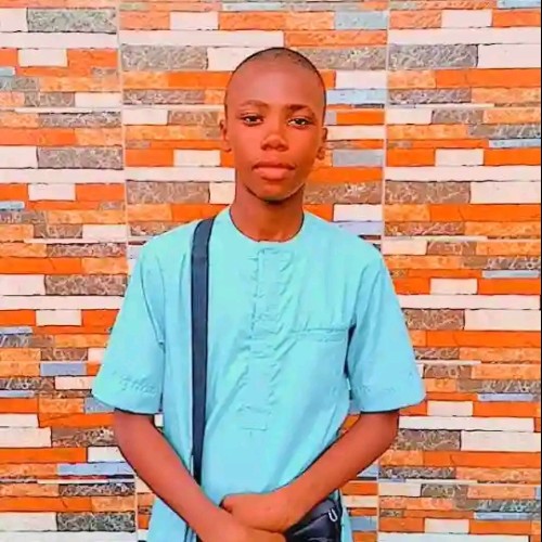 Olamilekan  D. profile photo