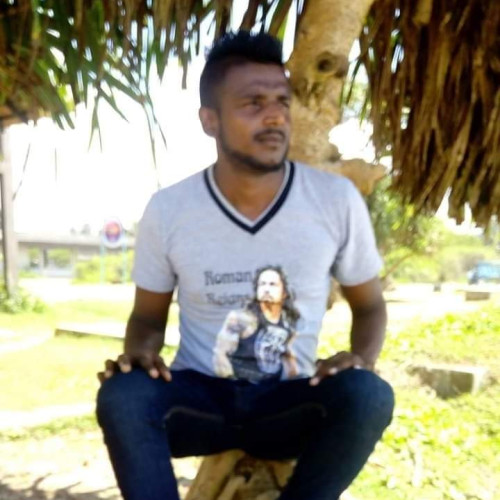 Dinesh N.