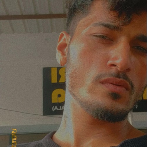 mayank  p.