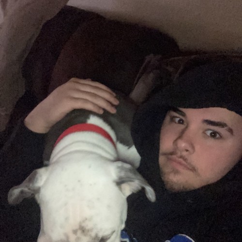 rocco c.