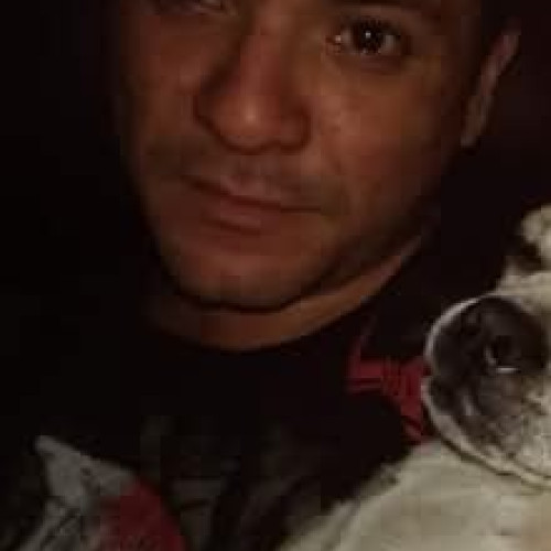 Mark A. profile photo