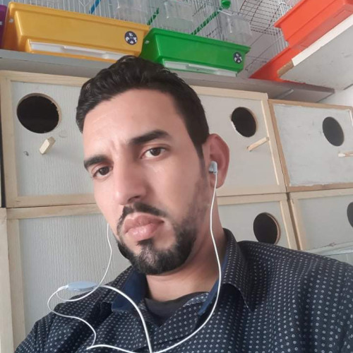 Mohamed E. profile photo
