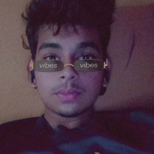 Vaibhav P. profile photo