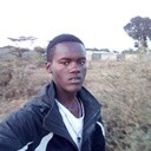 travis b. profile photo