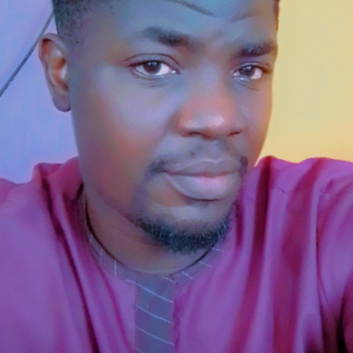 Olusegun A. profile photo