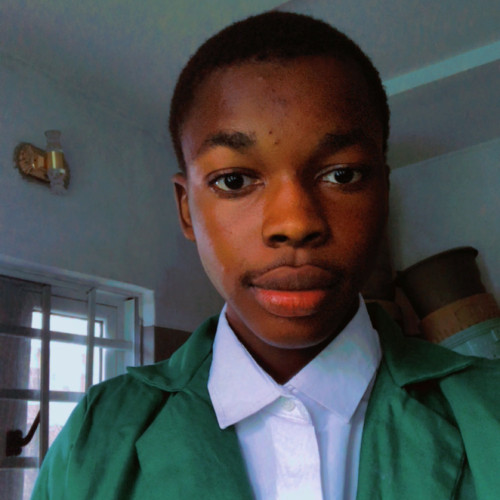 abeeb a. profile photo