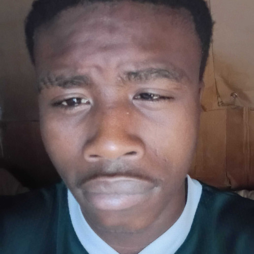 anele b. profile photo