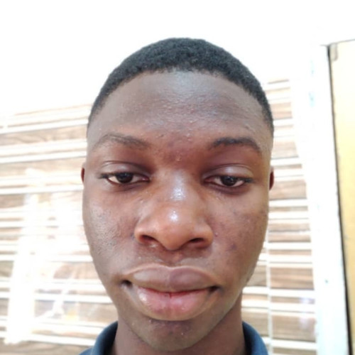 Nurudeen M. profile photo