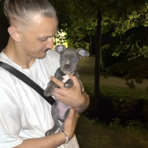 Viktor J. profile photo