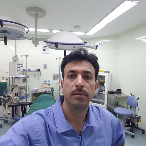 hamid m. profile photo