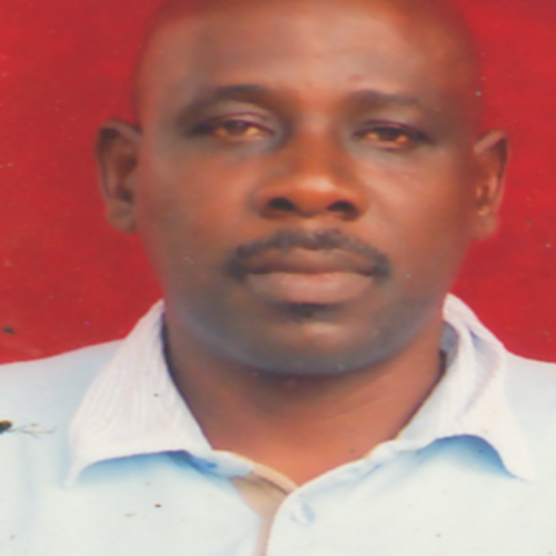 bola t. profile photo