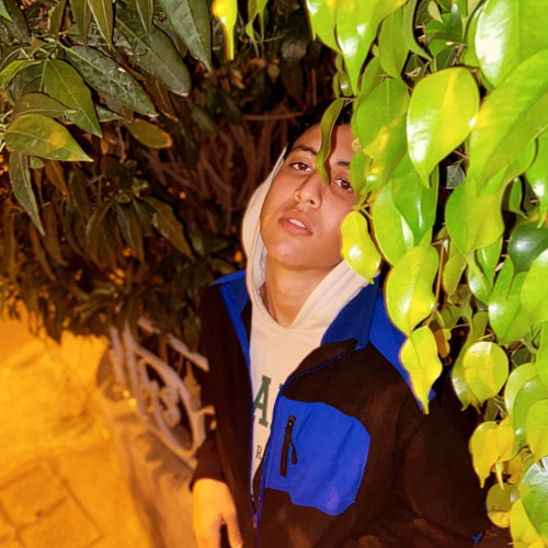 abderrahmane a. profile photo