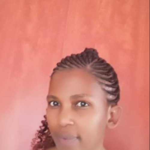 Sandi N.