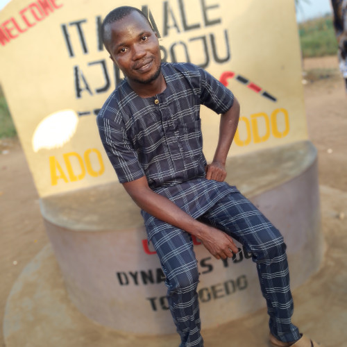 Oladele T. profile photo