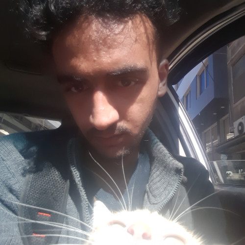 Fareed N. profile photo