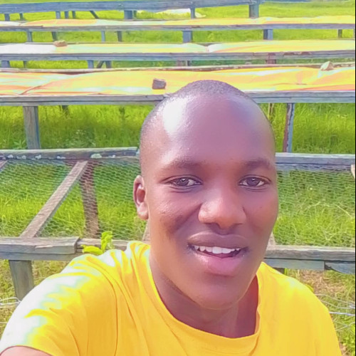 Vincent C. profile photo