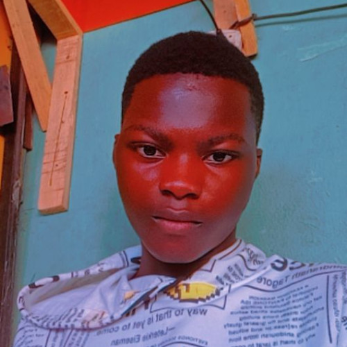 Abdulsaheed G.