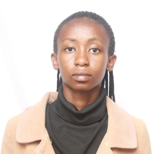 ann m. profile photo