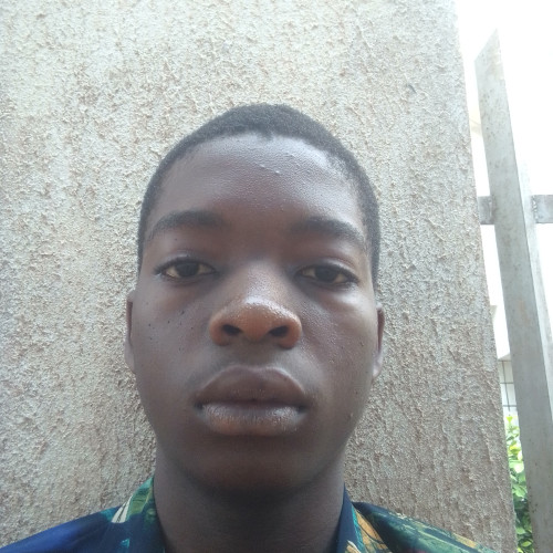 Chisom A. profile photo