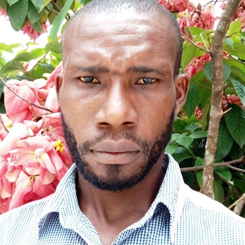 Nnaemeka N. profile photo