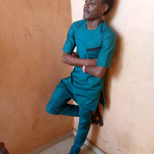 Adeloye  O. profile photo
