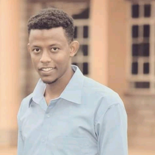 Dino A. profile photo