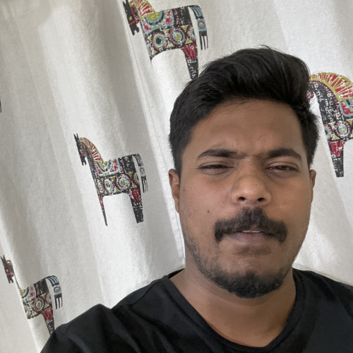 Ritesh N.
