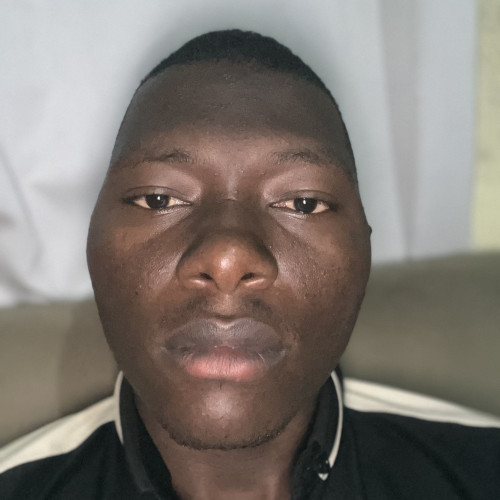 ally y. profile photo