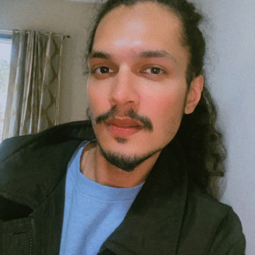 Tiger  B. profile photo
