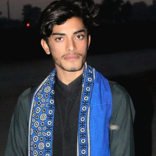 Muzamil M.