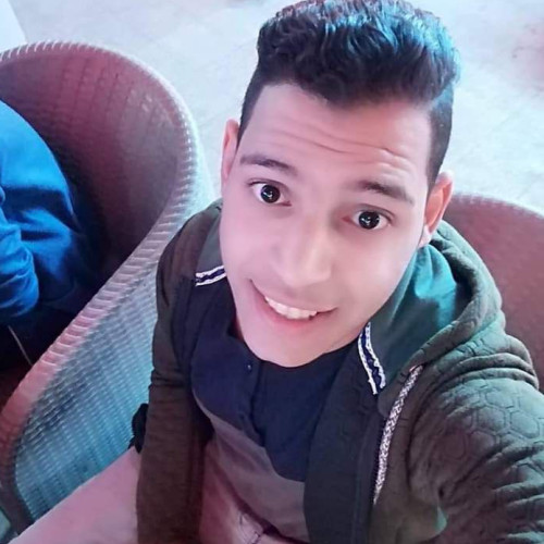 Moamen H.