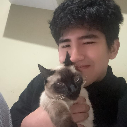 Marco V. profile photo