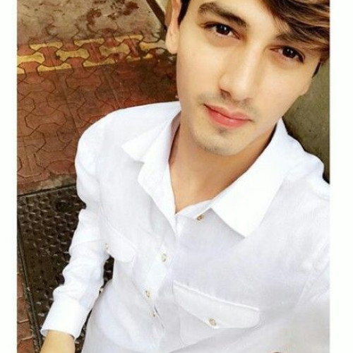 Talish P. profile photo