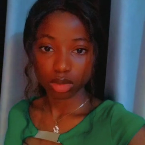 Olatunde  B. profile photo