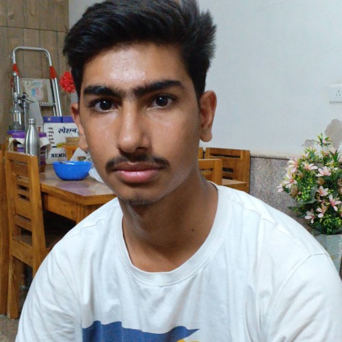 Ayush  C.