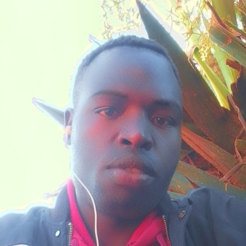 Musa K. profile photo