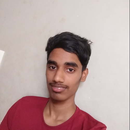 Vishu V. profile photo