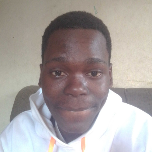 King D. profile photo