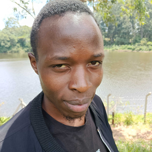 Collins M. profile photo