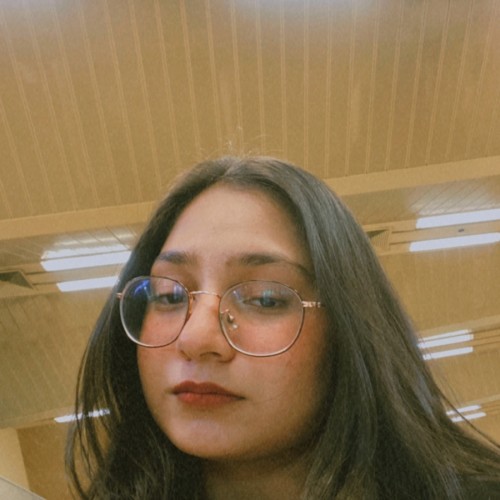 Mehreen S. profile photo